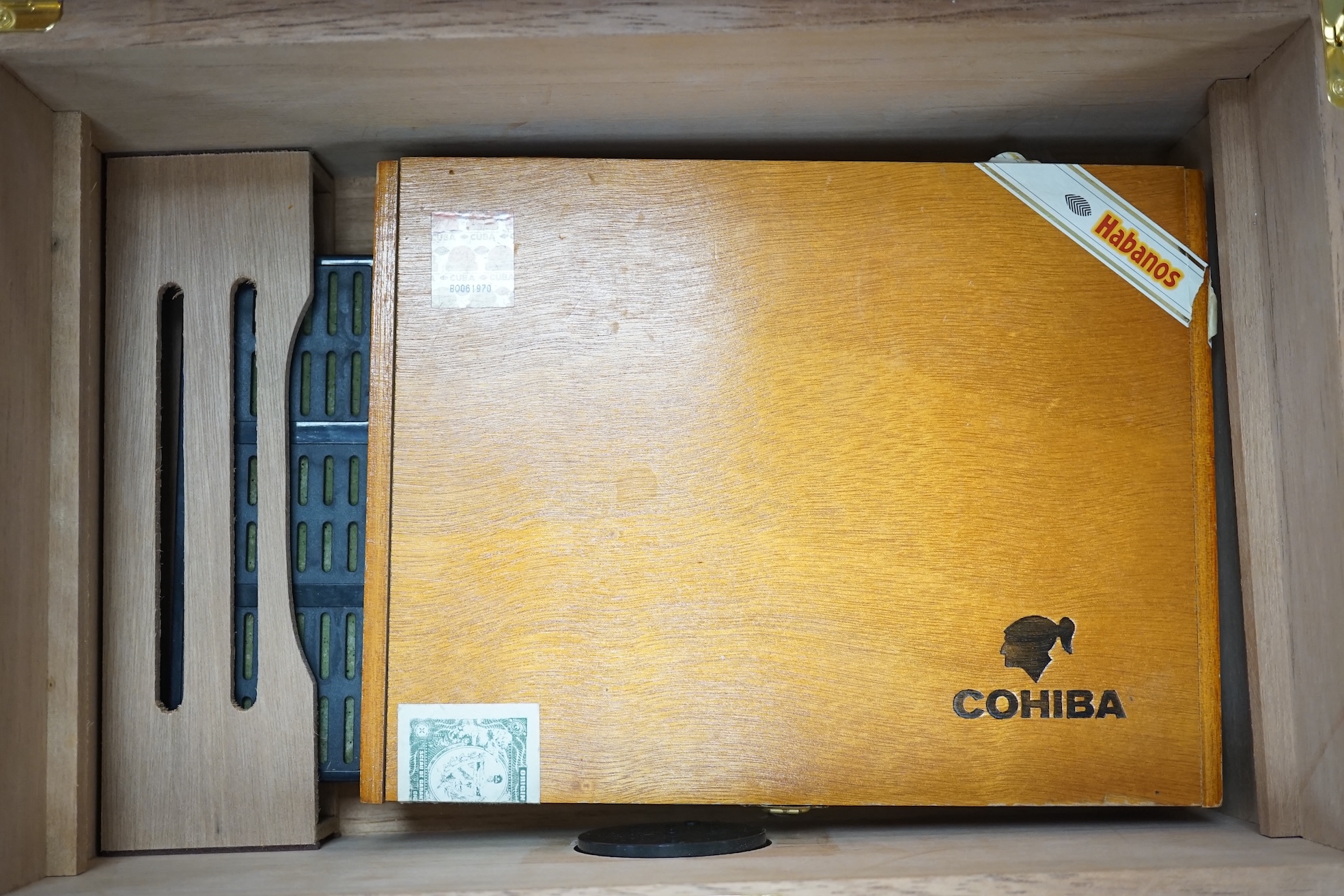 A modern EWT Thuya veneered humidor with keys, containing two boxes of Cohiba Esplendidos and Monte Cristo cigars (boxes opened). Condition - good